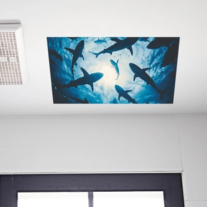 3D ocean shark ceiling wall decal for bedroom decor featuring deep sea sunlight effects