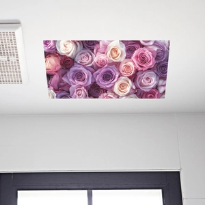 Romantic rose floral ceiling wall sticker with purple and pink blossoms for home decor