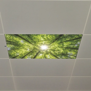 Forest forest ceiling decals with sunbeams through green trees for bedroom decoration