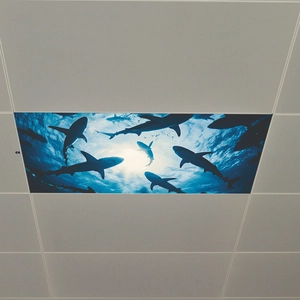 Underwater shark ceiling light panel film for living room and bedroom decoration