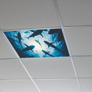 Blue ocean shark ceiling light cover sticker for office and home ceiling decoration