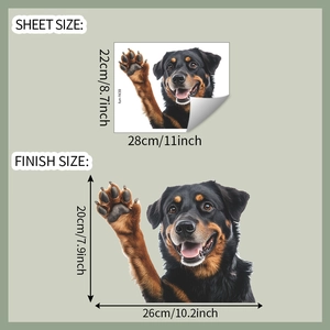 Size guide for Rottweiler dog window decal showing layout and finished dimensions