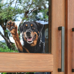 3D realistic Rottweiler dog window sticker waving paw for home glass and car decor