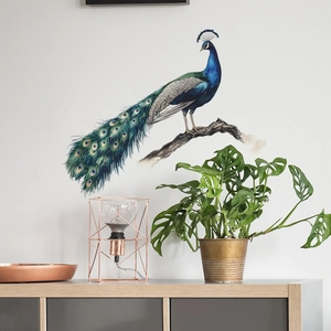 Elegant peacock wall decal on a white wall above a wooden cabinet and green plant