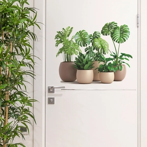 Potted green plants wall stickers featuring monstera leaves on a minimalist white door