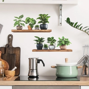 Stickers muraux 3D réalistes de plantes vertes en pot sur étagères pour la maison