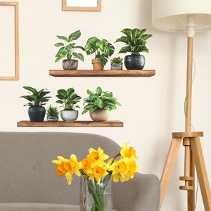 Stickers muraux de plantes vertes sur étagères en bois pour décoration intérieure