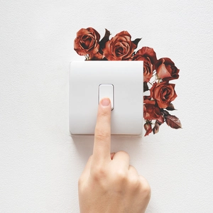 Realistic deep red rose floral wall sticker decorating a white power switch panel