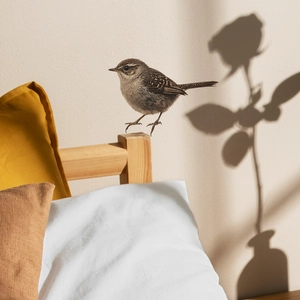 Lifelike sparrow wall sticker on wooden headboard with soft rose vase shadow decoration
