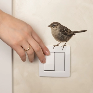 Realistic 3D sparrow bird wall sticker for home decor shown above light switch