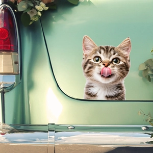 Cute tabby cat car window sticker with 3D effect on vintage vehicle glass surface