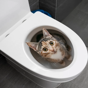 Dettaglio di un simpatico adesivo per gatti su un WC in ceramica bianca con piastrelle grigie