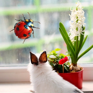 Realistic 3D ladybug window static sticker decoration with vibrant red and black colors