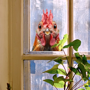 Realistic 3D rooster head window sticker for glass decoration with vivid feather details