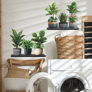 Realistic potted plant wall decals with minimalist black shelves for home wall decoration
