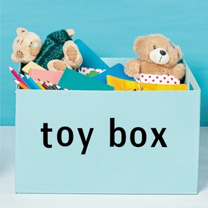 Light blue toy storage box with toy box text filled with teddy bear and notebooks