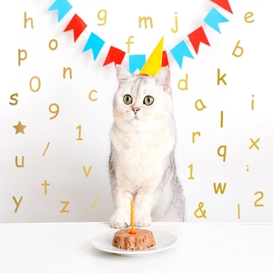 Golden DIY alphabet and number wall stickers for festive party and home decoration