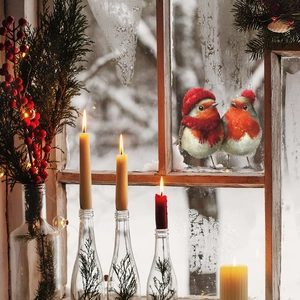 Winter window stickers featuring two robins in red hats on a snowy window glass