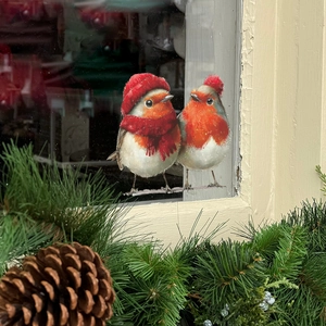 Christmas robin window decals with red hats and scarves on glass with pine branch