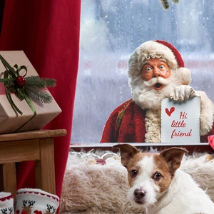 Christmas Santa Claus static window cling featuring Hi Little Friend greeting for home decor