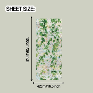 Dimensions de la feuille de film pour fenêtre laser à feuilles vertes 100cm par 42cm