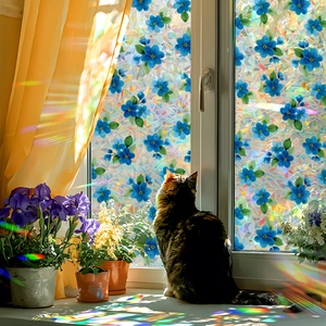Rainbow laser window film with blue floral patterns creating colorful light effects