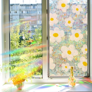 3D rainbow window film with white daisy patterns creating spectrum effects in sunlight