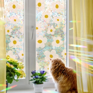 3D rainbow prism window film with white daisy patterns for privacy and sun refraction