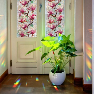 Rainbow laser Magnolia window film with colorful prism effect for privacy glass decor