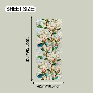 Detailed sheet size diagram of magnolia glass film showing 100cm by 42cm dimensions