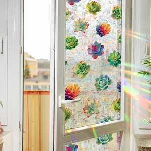 Rainbow succulent pattern glass window film with geometric light refraction effects
