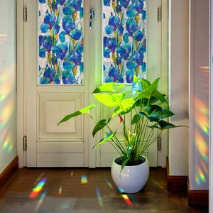 Rainbow iris floral stained glass window film providing privacy for home glass doors