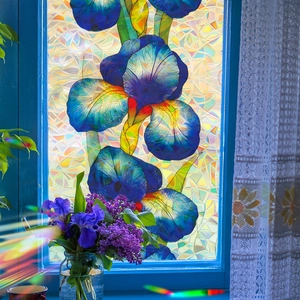 Rainbow prism laser iris glass window film for home privacy and decorative sunlight effects