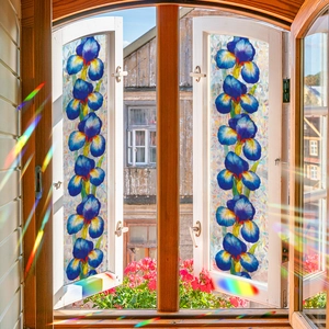 Rainbow prism window film with blue iris flower design for privacy and light refraction