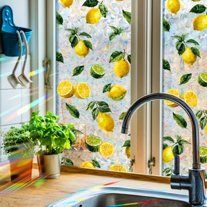 Rainbow laser lemon window privacy film with decorative citrus fruits on glass
