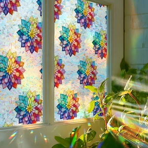 Rainbow lotus mandala window film showing colorful light projection on indoor plants