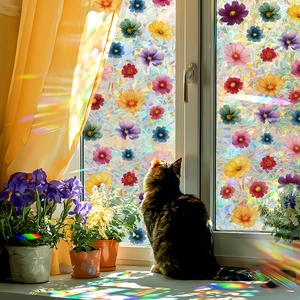 Pellicola laser per vetri con fiori arcobaleno e margherite per privacy e rifrazione solare