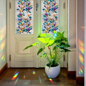 Laser rainbow window film with floral patterns for privacy on white glass doors