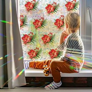 Film de fenêtre arc-en-ciel à motifs floraux rouges pour l'intimité et effets de lumière