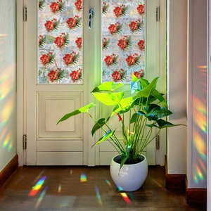 Film de fenêtre laser arc-en-ciel avec motifs de fleurs rouges et de feuilles