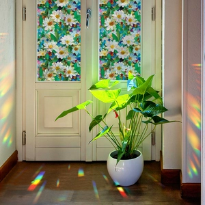 Rainbow effect frosted window film with white daisy and green leaf floral pattern