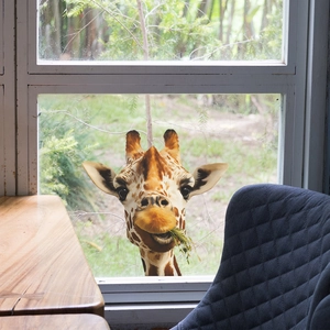 3D realistic giraffe window decal for home glass decoration with lifelike animal pattern