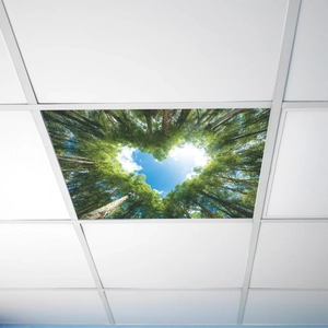 Nature forest canopy wall decal with heart-shaped sky view for ceiling home decor