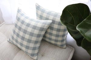 Close-up of two blue and white checkered cushion covers on a sofa in a bright living room