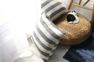 Close-up of striped cushion cover showing high-quality fabric texture and hidden zipper