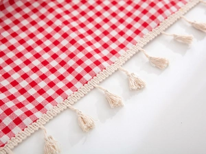 Close-up of red and white gingham tablecloth showing woven texture and beige tassel edges