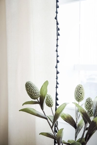 Elegant black tassel fringe trim hanging on white sheer curtain with green plant background