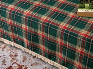 Detail of green and red plaid throw blanket with white tassel edges on a sofa