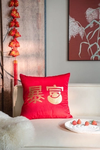 Detail of red velvet pillow cover with gold stamped Chinese characters for prosperity