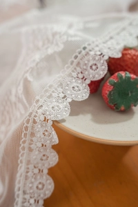 Detailed macro view of white floral lace tablecloth featuring scalloped edges and pattern